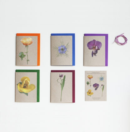 Flower notelets, five designs