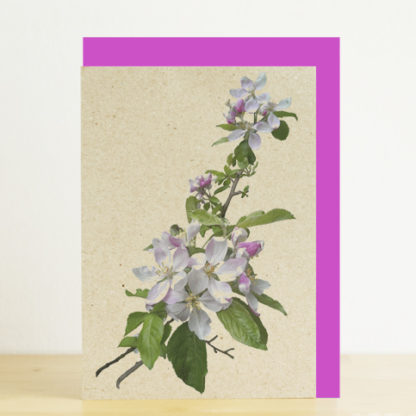 Image of greeting card featuring cherry blossom photo print