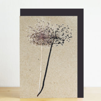 Image of greeting card featuring an allium photo print