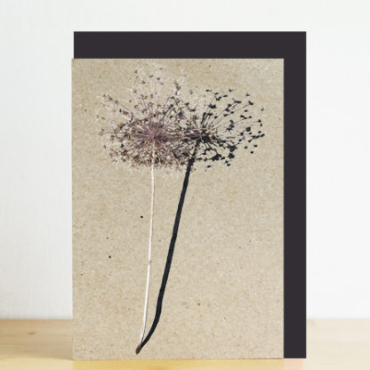 Image of greeting card featuring an allium photo print