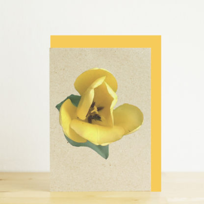 Image of greeting card featuring yellow tulip photo print