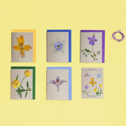 Image of set of five Summer flower note cards