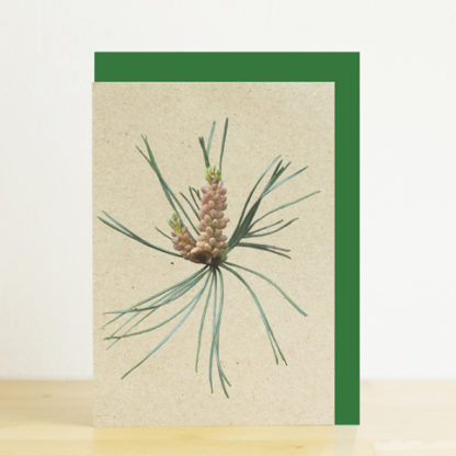 A6 greeting card featuring a photo design of a Scots pine cone