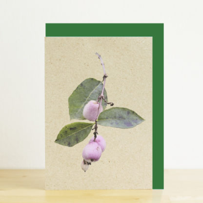 A6 greeting card featuring a photo design of snowberries