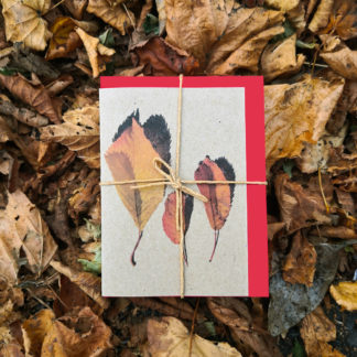 Set of five note cards featuring autumn inspired photographic designs