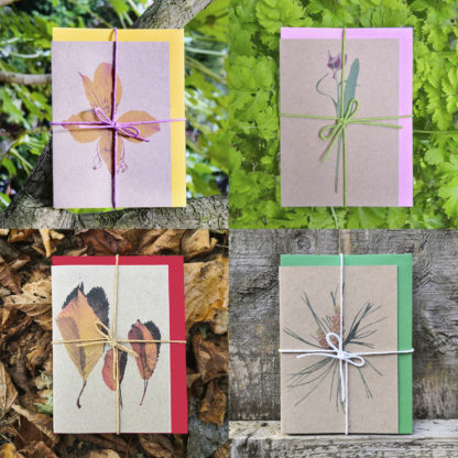 Photo of tFour sets of seasonal note cards featuring botanical photo designs