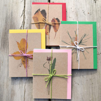 Four sets of seasonal note cards featuring botanical photo designs