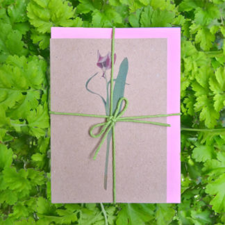 Set of note cards with spring flowers on bed of leaves