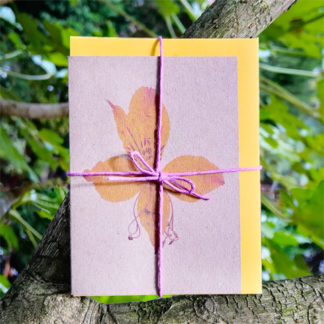 Set of five summer note cards displayed in a tree