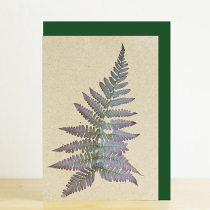 Greeting card featuring a fern print and green envelope