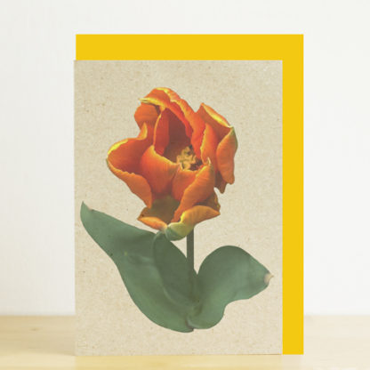 Greeting card featuring an orange tulip and yellow envelope