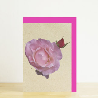 Photo of A7 greeting card featuring pink and red roses with a pink envelope