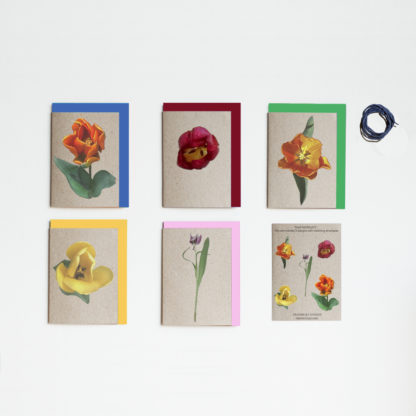 Image of set of five note cards featuring photos of tulips