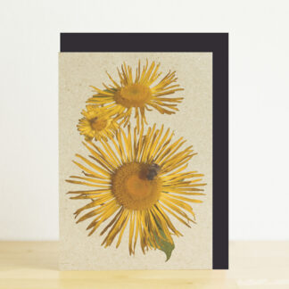 Photo of greeting card featuring a sunflowers and bee photo design by Helena Lee Studios with black envelope